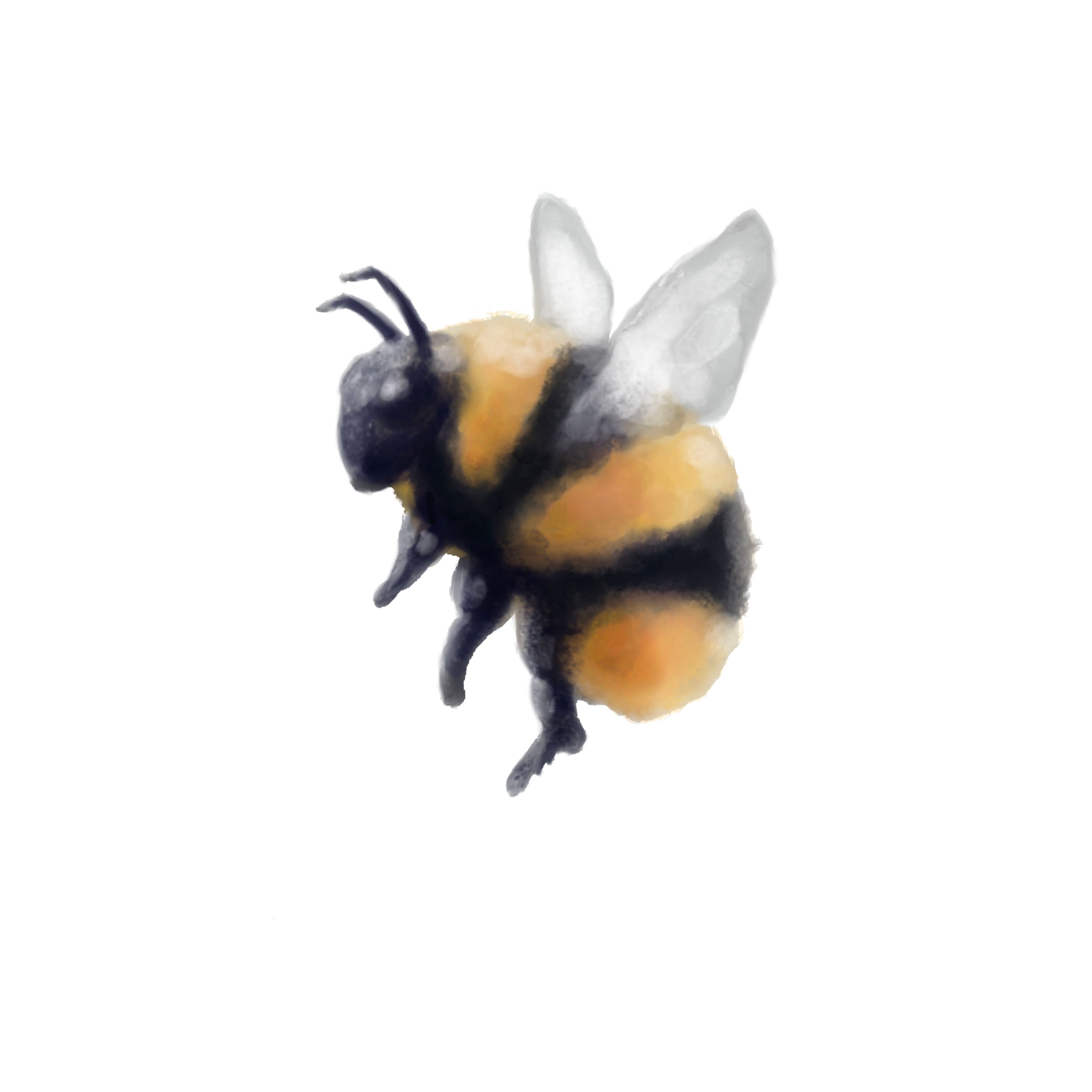 bee