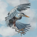 Heron